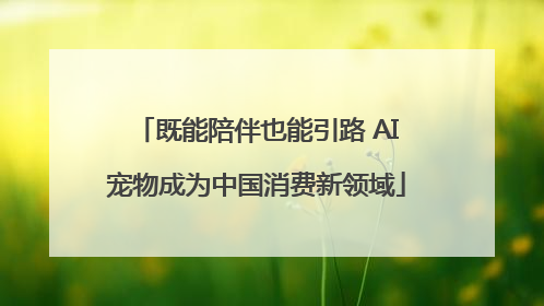 既能陪伴也能引路 AI宠物成为中国消费新领域