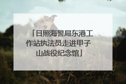 日照海警局东港工作站执法员走进甲子山战役纪念馆