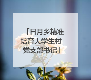 日月乡精准培育大学生村党支部书记