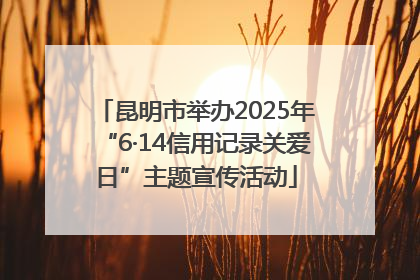昆明市举办2025年“6·14信用记录关爱日”主题宣传活动