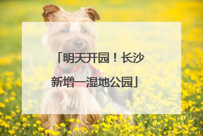 明天开园！长沙新增一湿地公园