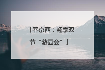 春京西：畅享双节“游园会”