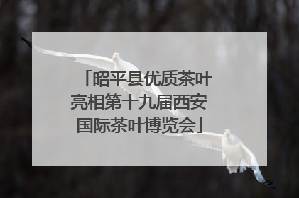 昭平县优质茶叶亮相第十九届西安国际茶叶博览会
