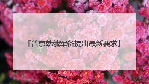 普京就俄军备提出最新要求