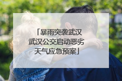 暴雨突袭武汉 武汉公交启动恶劣天气应急预案