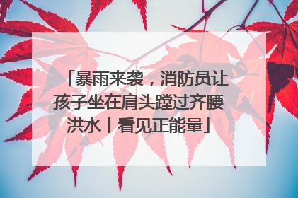 暴雨来袭，消防员让孩子坐在肩头蹚过齐腰洪水丨看见正能量