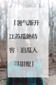 暑气渐升江苏瓜熟待客:追瓜人寻甜蜜