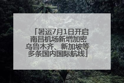暑运7月1日开启 南昌机场新增加密乌鲁木齐、新加坡等多条国内国际航线