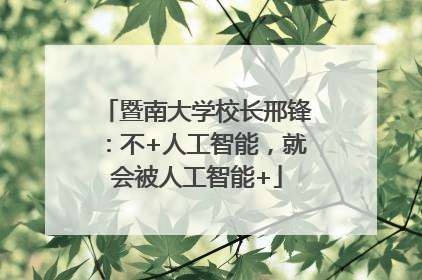 暨南大学校长邢锋：不+人工智能，就会被人工智能+