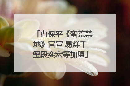 曹保平《蛮荒禁地》官宣 易烊千玺段奕宏等加盟
