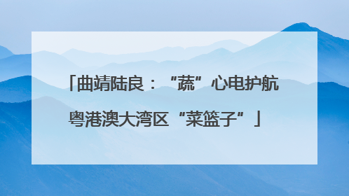 曲靖陆良：“蔬”心电护航粤港澳大湾区“菜篮子”