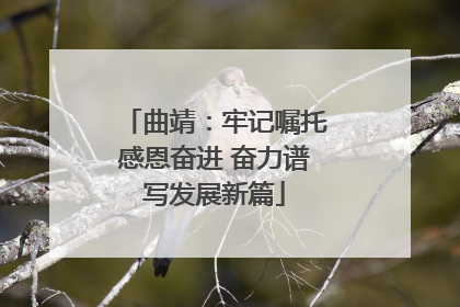 曲靖：牢记嘱托感恩奋进 奋力谱写发展新篇