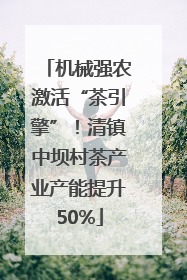 机械强农激活“茶引擎”！清镇中坝村茶产业产能提升50%