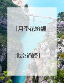 月季花扮靓北京道路