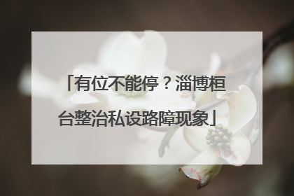 有位不能停？淄博桓台整治私设路障现象