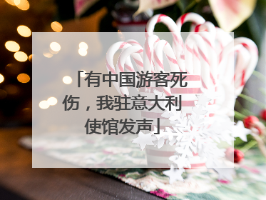 有中国游客死伤，我驻意大利使馆发声