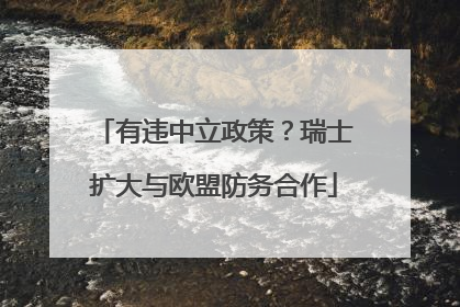 有违中立政策？瑞士扩大与欧盟防务合作