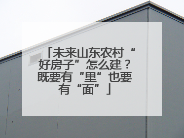 未来山东农村“好房子”怎么建？既要有“里”也要有“面”