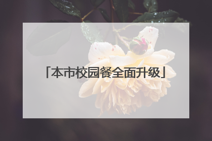 本市校园餐全面升级