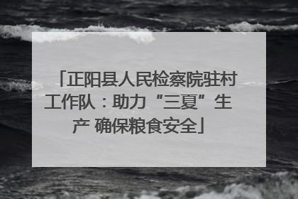 正阳县人民检察院驻村工作队：助力“三夏”生产 确保粮食安全