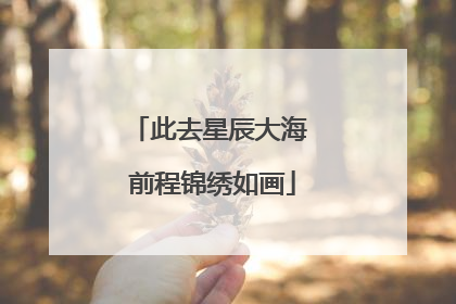 此去星辰大海 前程锦绣如画