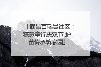 武昌百瑞景社区：粽意童行庆双节 护苗传承筑家园