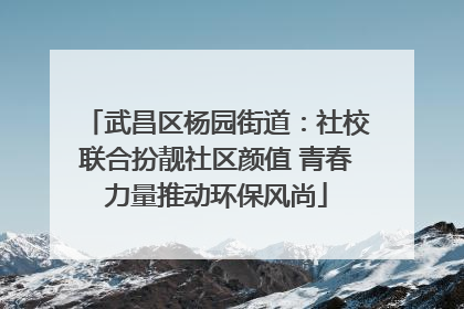 武昌区杨园街道：社校联合扮靓社区颜值 青春力量推动环保风尚