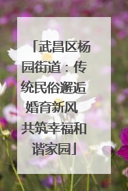 武昌区杨园街道:传统民俗邂逅婚育新风 共筑幸福和谐家园