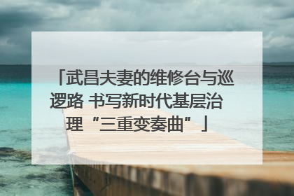武昌夫妻的维修台与巡逻路 书写新时代基层治理“三重变奏曲”