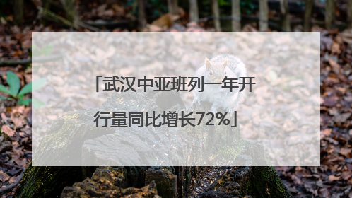 武汉中亚班列一年开行量同比增长72%