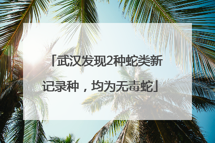 武汉发现2种蛇类新记录种，均为无毒蛇