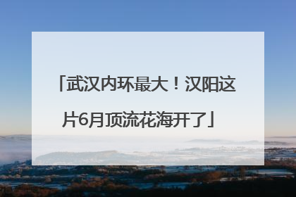 武汉内环最大！汉阳这片6月顶流花海开了