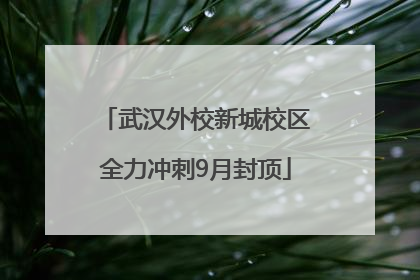 武汉外校新城校区全力冲刺9月封顶