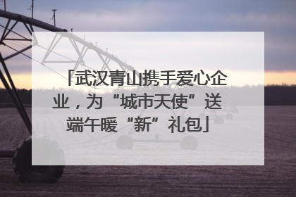 武汉青山携手爱心企业，为“城市天使”送端午暖“新”礼包