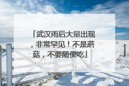 武汉雨后大量出现，非常罕见！不是蘑菇，不要随便吃
