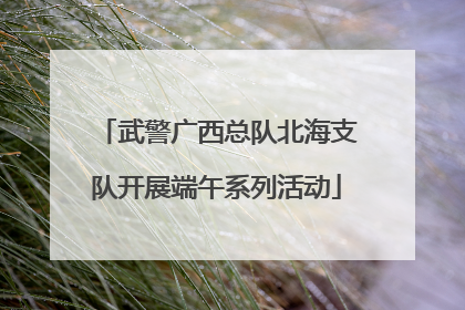 武警广西总队北海支队开展端午系列活动