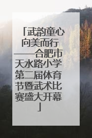 武韵童心 向美而行——合肥市天水路小学第二届体育节暨武术比赛盛大开幕