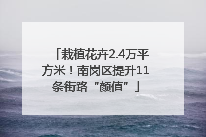 栽植花卉2.4万平方米！南岗区提升11条街路“颜值”