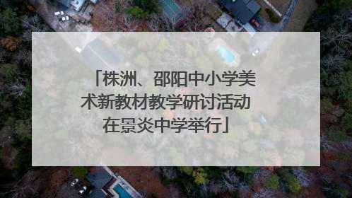 株洲、邵阳中小学美术新教材教学研讨活动在景炎中学举行