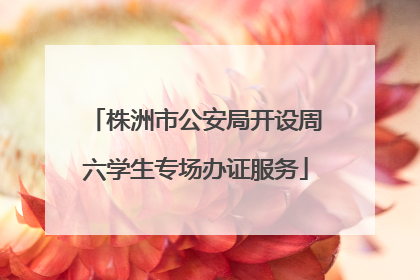 株洲市公安局开设周六学生专场办证服务