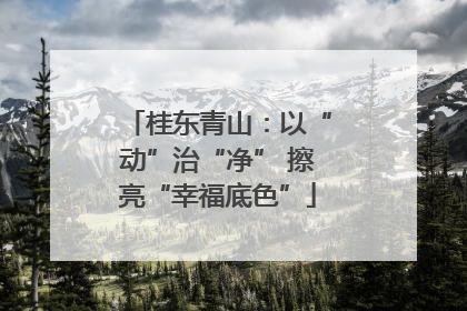 桂东青山：以“动”治“净” 擦亮“幸福底色”