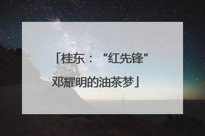 桂东：“红先锋”邓耀明的油茶梦