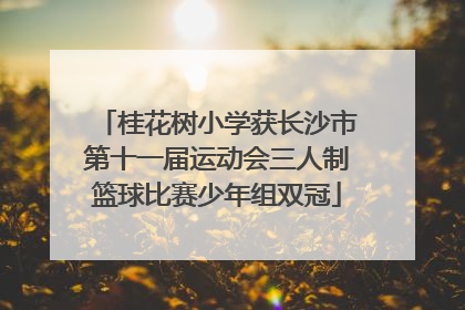 桂花树小学获长沙市第十一届运动会三人制篮球比赛少年组双冠