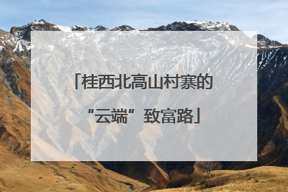 桂西北高山村寨的“云端”致富路