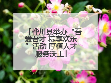 桦川县举办“吾爱吾才 粽享欢乐”活动 厚植人才服务沃土