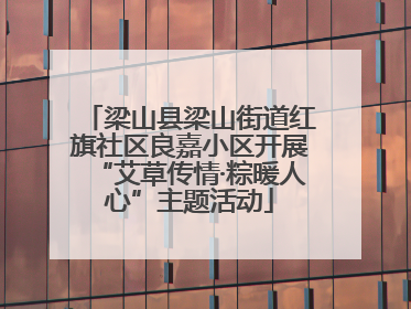 梁山县梁山街道红旗社区良嘉小区开展“艾草传情·粽暖人心”主题活动