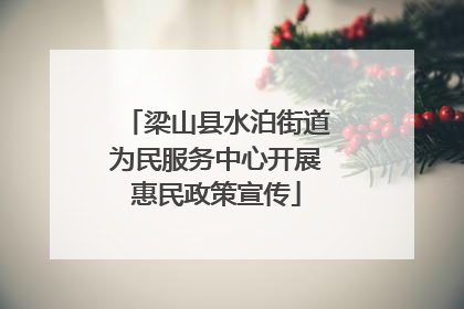 梁山县水泊街道为民服务中心开展惠民政策宣传
