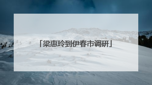 梁惠玲到伊春市调研