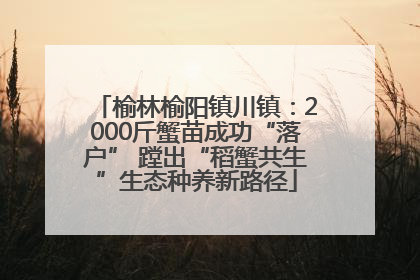 榆林榆阳镇川镇：2000斤蟹苗成功“落户” 蹚出“稻蟹共生”生态种养新路径