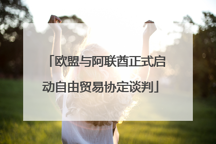 欧盟与阿联酋正式启动自由贸易协定谈判